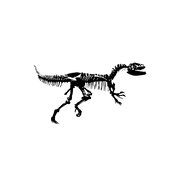 Dinosaur Junction logo