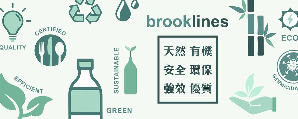 brooklines_fb_cover-03-03.jpg