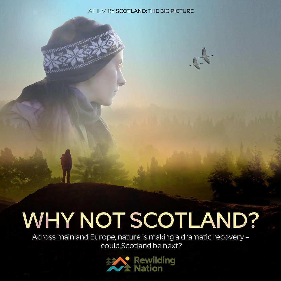 Why Not Scotland? Independent Screening