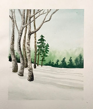 bouleaux hiver aquarelle