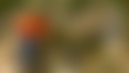 Mill Creek Central's 2025 Fall Volunteer Work & Run Weekend