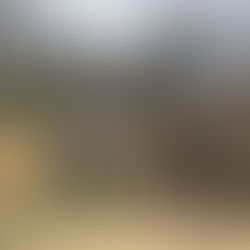 Mill Creek Central's Fall Cleanup Weekend: November 8