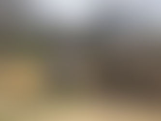 Mill Creek Central's Fall Cleanup Weekend: November 8