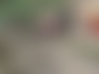 August 2022 Work Season @ Mill Creek Central