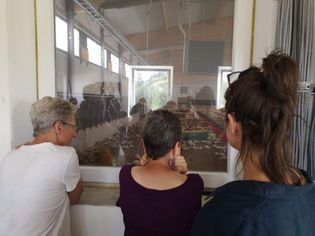 AfterWork am Bauernhof_Hackl's Marillen & Puten_230707 (c) ÖKL (8).JPG