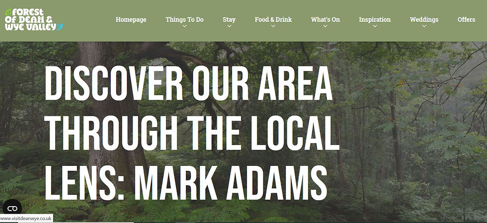 Visit The Forest of Dean and Wye Valley