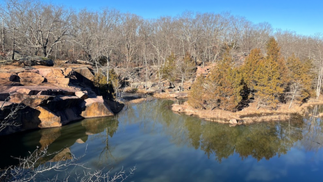 Screen Shot 2022-07-06 at 11.28.18 AM.png