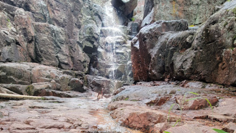 Screen Shot 2022-07-06 at 11.34.44 AM.png