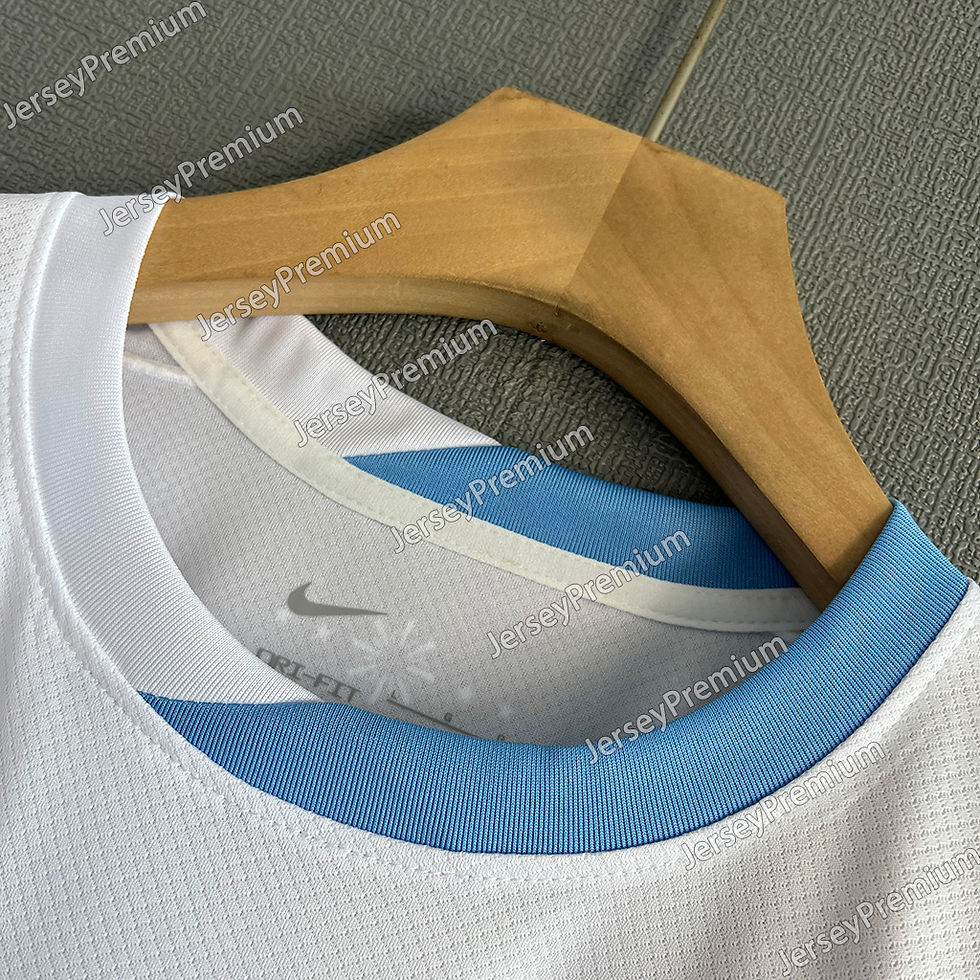 Miniatura: URUGUAY 2024/2025