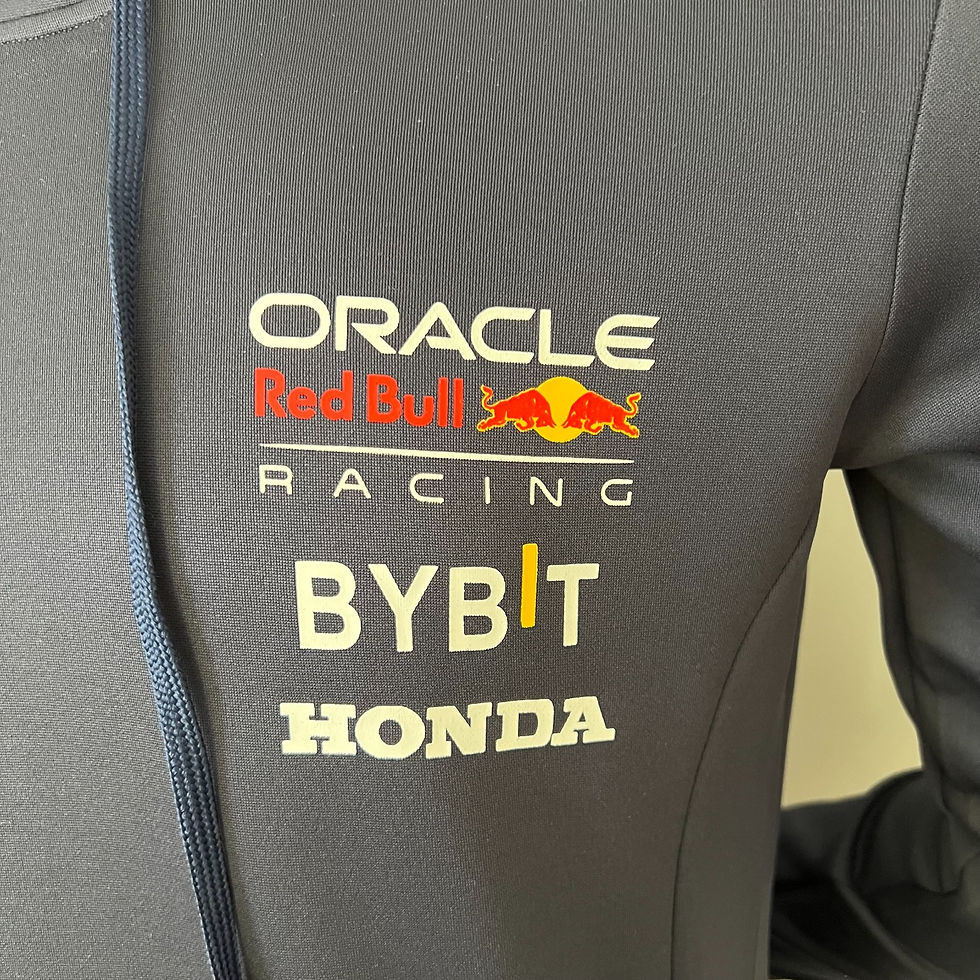 Miniatura: RED BULL RACING TEAM 2023