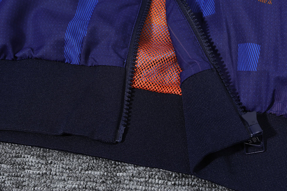 Miniatura: HOLANDA 2024/2025