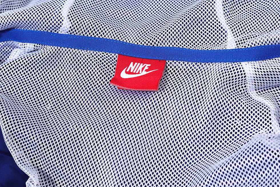 Miniatura: FRANCIA 2024/2025