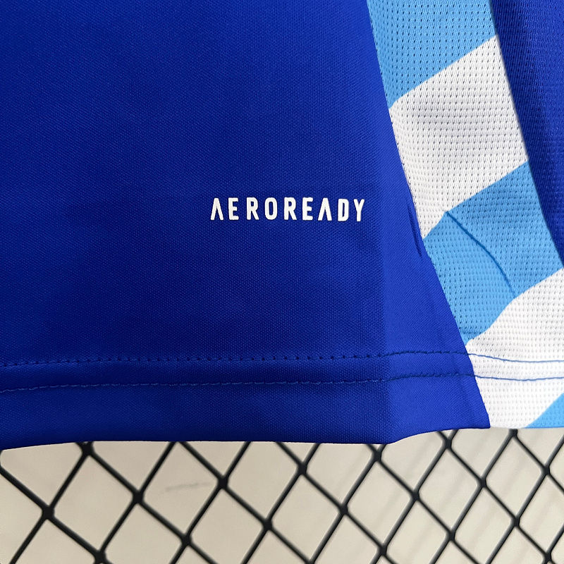 Miniatura: ARGENTINA 2024