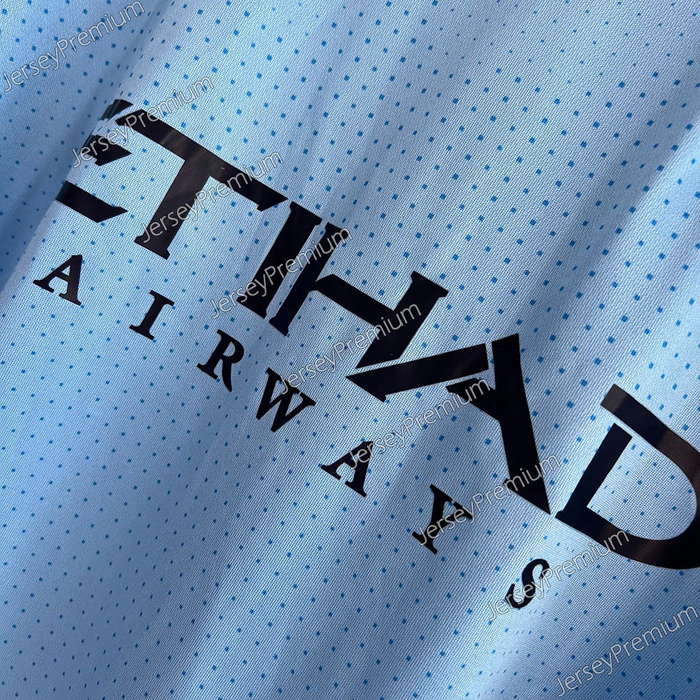 Miniatura: MANCHESTER CITY FC 2011/2012