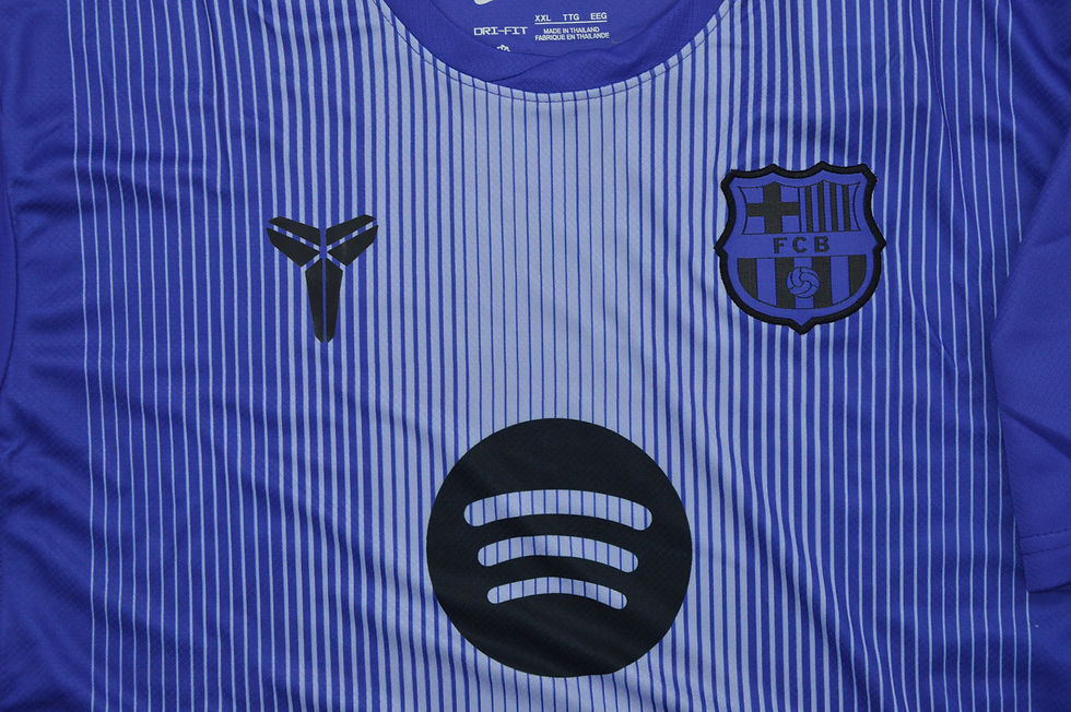 Miniatura: FC BARCELONA 2025/2026