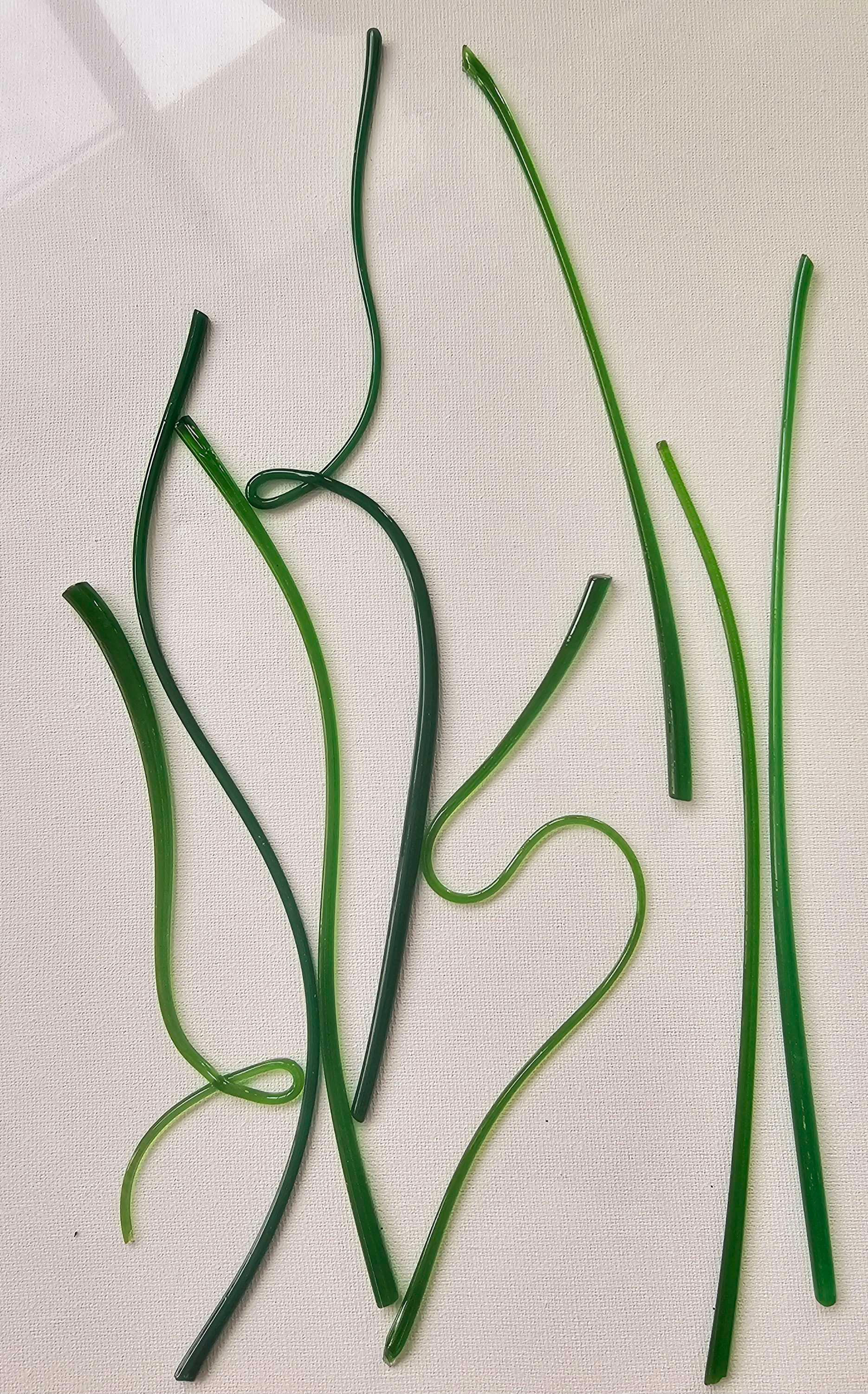 Flattened Vitrigraph