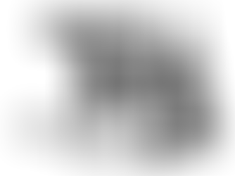 NPA AWARDED GRANT FROM THE TOM MAYNARD TRUST 