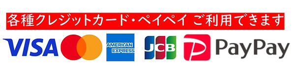 ガレージエフ