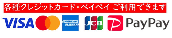 ガレージエフ