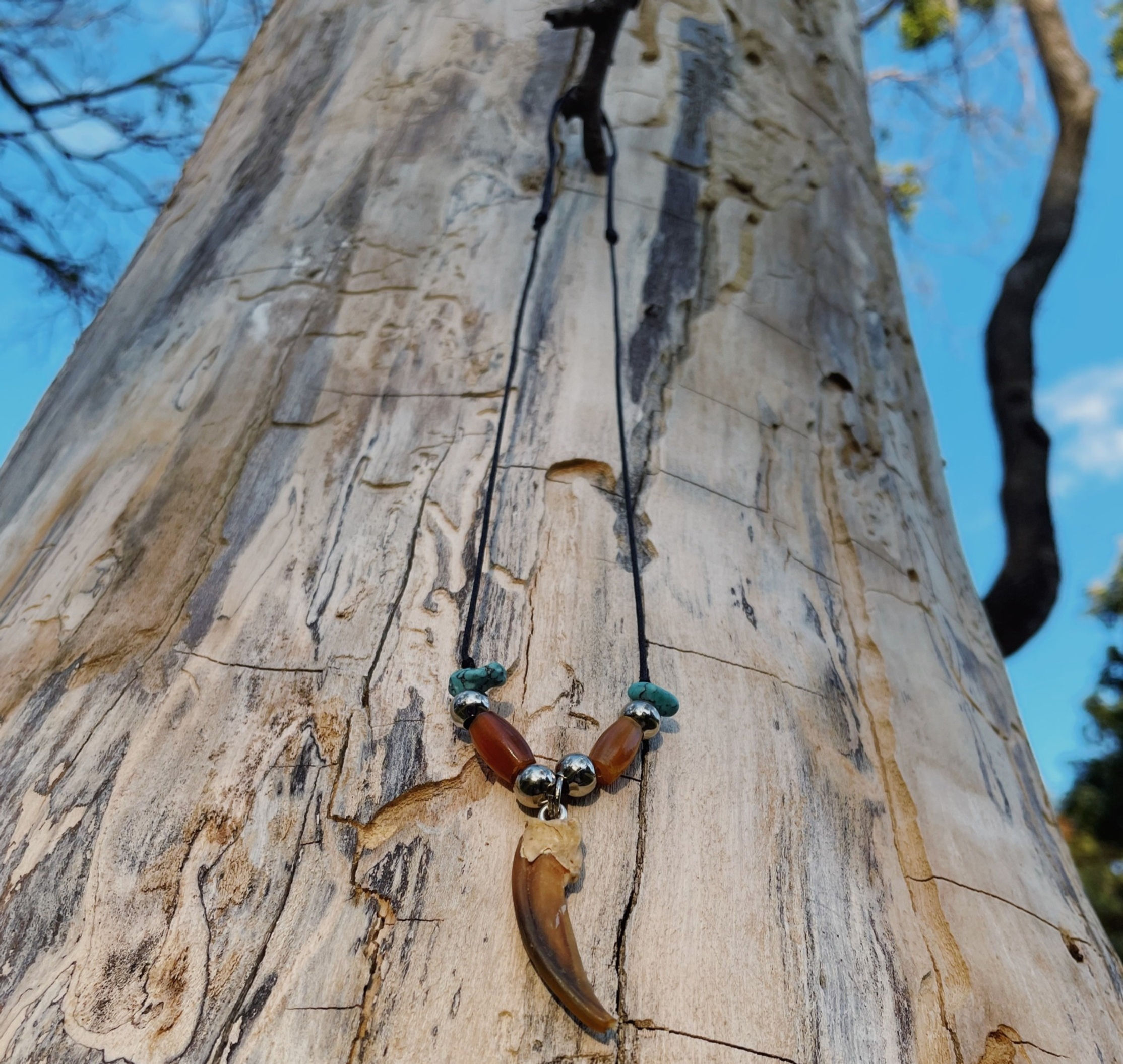 Badger claw necklace