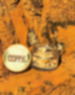 Thumbnail: Copal
