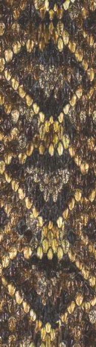 3ACBB4B4-89F5-4EF8-B5C4-5A61F0DECB61_edi