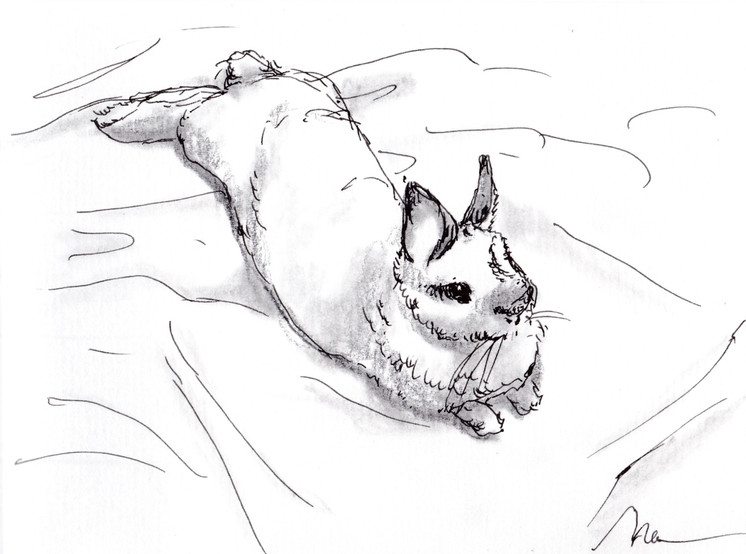 sketch2.jpeg