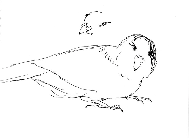 sketch5.jpeg