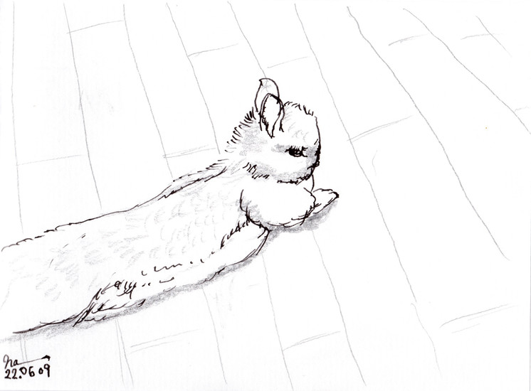 sketch13.jpeg