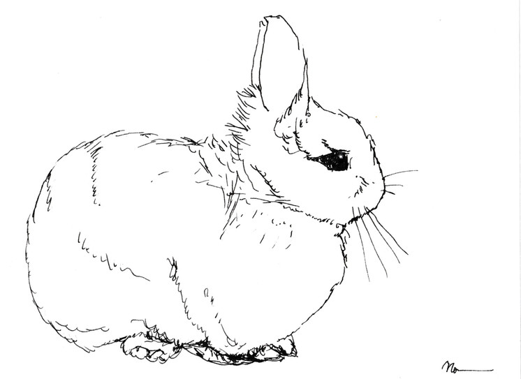 sketch8.jpeg