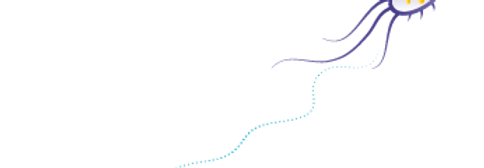 Bactérie | Irrigation du côlon | Lili vers toi | Paris France