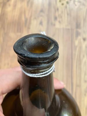 Thumbnail: Dutch (lowland) onion c1730