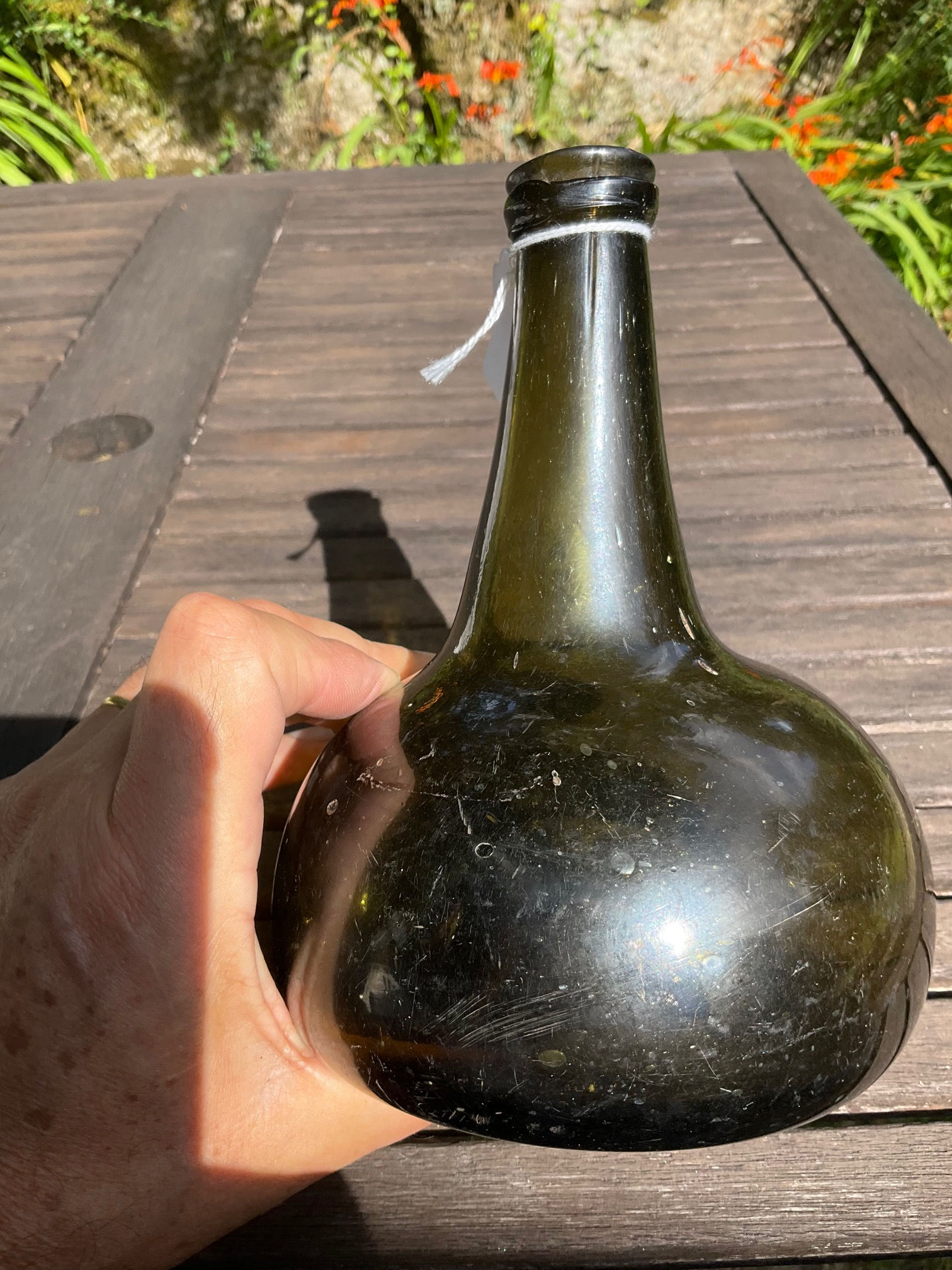 Dutch onion c1730