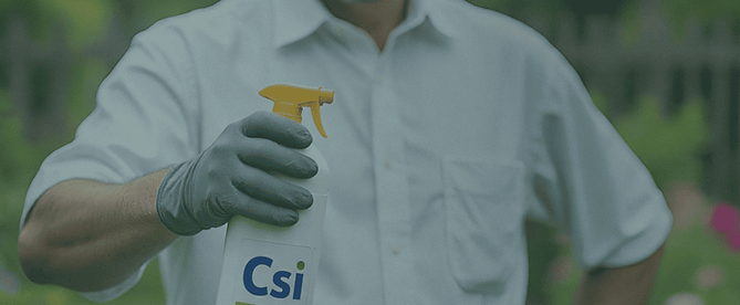 csi iminizações  (1251 x 516 px) (3) (1).png