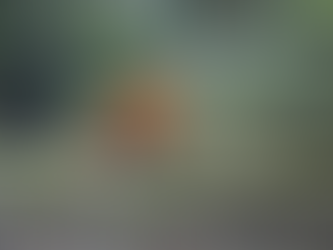 【平日ソロ・デュオ限定】冬の静寂キャンプ優待プラン【愛知で冬キャンするならココ!】