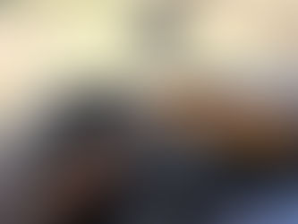 【11/11(火)】今週の放流情報🌈