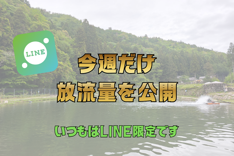 【放流情報】今週だけ特別公開。いつもはLINE限定の「放流量」、お見せします