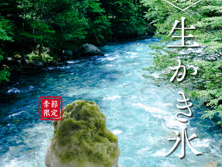 【新登場】季節限定『塩瀬生かき氷』販売開始!