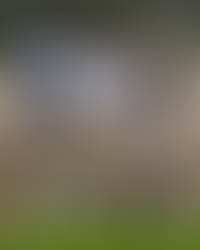 【12/6(土)】さばいばるテンカラ体験🎣開催!