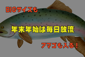 【伝説の10日間】年末年始は「毎日」放流確定！BIGサイズ＆アマゴ乱舞の「お年玉チャレンジ」で2026年を占え！