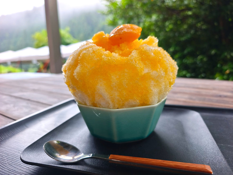 川沿いで味わう塩瀬生かき氷2026