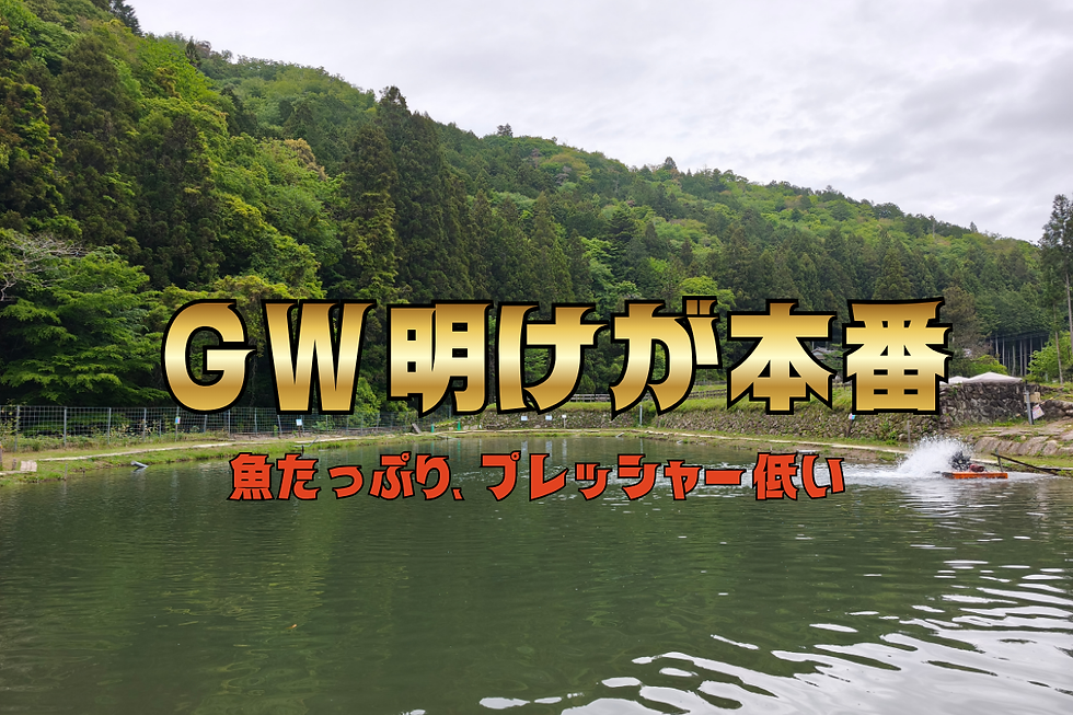 リバーベース塩瀬 GW明け放流情報 2026年5月