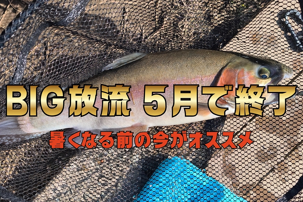 リバーベース塩瀬 BIG放流5月終了 放流情報 2026年5月