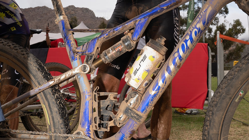Wilier-vittoria cape epic