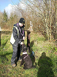 Sit and stay with Flora