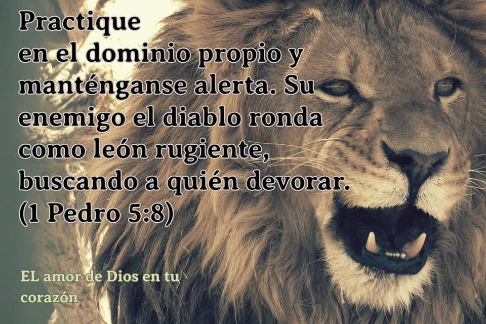 310978425_141584658601751_5284016160758358134_n