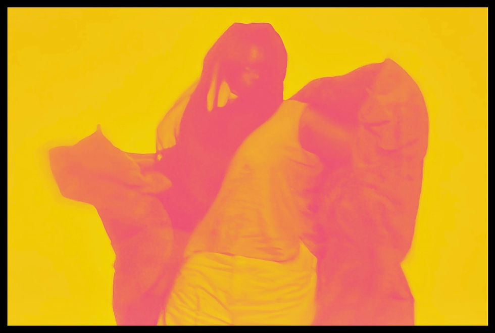 “HALF OF A YELLOW SUN” CHIMI