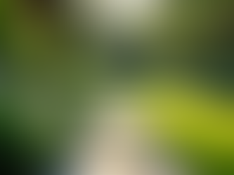 Choosing Expert Landscaping Services in Sacramento CA