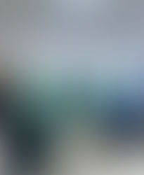 Inseguendo i propri sogni