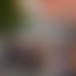 Un viaggio nella Resistenza napoletana